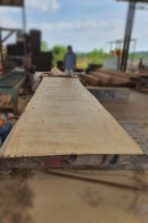 CHENGAL Wood Slab - Extreme Large